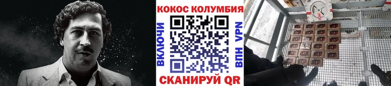 КОКАИН Эквадор  Артёмовский 